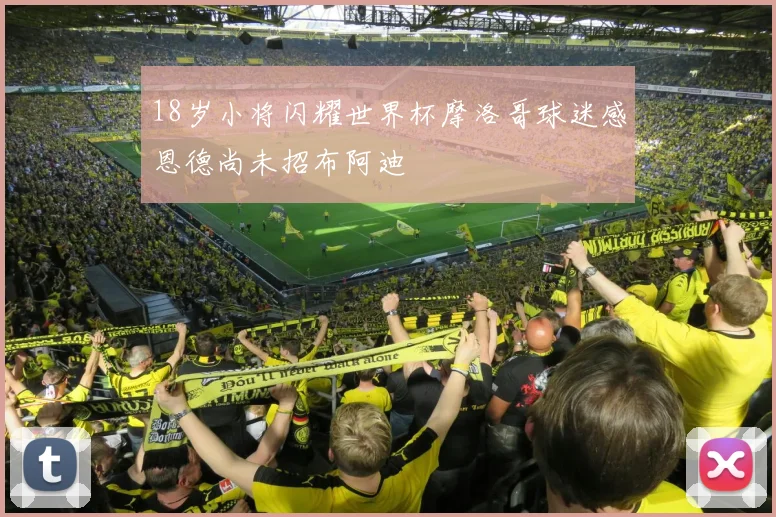 18岁小将闪耀世界杯摩洛哥球迷感恩德尚未招布阿迪